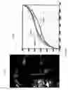 Fig. 14 - Detecting doctored images using camera response normality and consistency