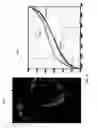 Fig. 15 - Detecting doctored images using camera response normality and consistency