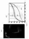 Fig. 16 - Detecting doctored images using camera response normality and consistency
