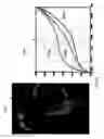 Fig. 17 - Detecting doctored images using camera response normality and consistency