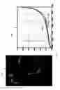 Fig. 18 - Detecting doctored images using camera response normality and consistency