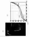 Fig. 19 - Detecting doctored images using camera response normality and consistency