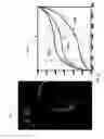 Fig. 20 - Detecting doctored images using camera response normality and consistency