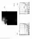 Fig. 24 - Detecting doctored images using camera response normality and consistency
