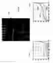Fig. 26 - Detecting doctored images using camera response normality and consistency