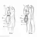 Fig. 05 - Vertically expandable carry bag and cinching structure for same