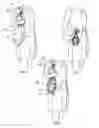 Fig. 06 - Vertically expandable carry bag and cinching structure for same
