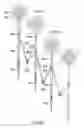 Fig. 12 - Guided fluid driven turbine