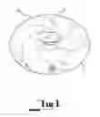 Fig. 02 - Fluid circulation system