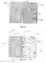 Fig. 02 - Use of a metal and Sn as a solvent material for the bulk crystallization and sintering of diamond to produce biocompatbile biomedical devices