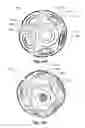 Fig. 29 - Use of a metal and Sn as a solvent material for the bulk crystallization and sintering of diamond to produce biocompatbile biomedical devices
