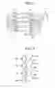 Fig. 11 - Endoscope sterilizing test pack