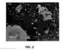Fig. 06 - Mesoporous amorphous oxide of titanium