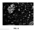 Fig. 07 - Mesoporous amorphous oxide of titanium