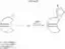 Fig. 10 - Click chemistry method for synthesizing molecular imaging probes