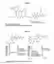 Fig. 03 - Chelators for radioactively labeled conjugates comprising a stabilizing sidechain