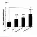 Fig. 02 - Effect of substances on sexual function