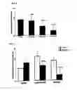 Fig. 03 - Effect of substances on sexual function