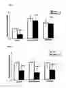 Fig. 04 - Effect of substances on sexual function