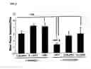 Fig. 05 - Effect of substances on sexual function