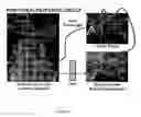 Fig. 02 - Systemic oxygenation via gastric perfusion with perfluorocarbon (PFC)