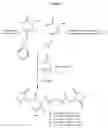 Fig. 05 - Hydrophilic polymers with pendant functional groups and method thereof