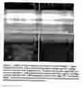 Fig. 06 - Cell targeting methods and compositions