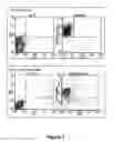 Fig. 02 - Recovery of tissue function following administration of B cells to injured tissue