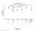 Fig. 04 - Recovery of tissue function following administration of B cells to injured tissue