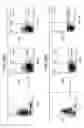 Fig. 27 - Molecular dissection of cellular responses to alloantigen or autoantigen in graft rejection and autoimmune disease