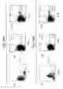 Fig. 29 - Molecular dissection of cellular responses to alloantigen or autoantigen in graft rejection and autoimmune disease
