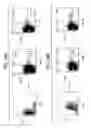 Fig. 30 - Molecular dissection of cellular responses to alloantigen or autoantigen in graft rejection and autoimmune disease