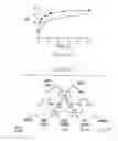 Fig. 09 - Butyrylcholinesterase variant polypeptides with increased catalytic efficiency and methods of use