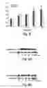 Fig. 08 - Methods and compositions for protection against thrombolysis associated reperfusion injury