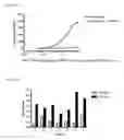 Fig. 23 - Anti-interferon gamma antibodies and methods of use thereof