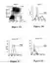 Fig. 02 - Method of immunomodulation