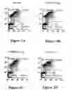 Fig. 03 - Method of immunomodulation