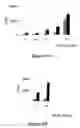 Fig. 07 - Method of immunomodulation