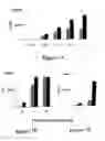 Fig. 08 - Method of immunomodulation