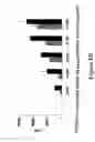 Fig. 10 - Method of immunomodulation