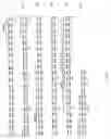 Fig. 07 - Neoplasm specific antibodies and uses thereof