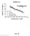Fig. 22 - Targeted chimeric molecules for cancer therapy