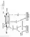 Fig. 24 - Targeted chimeric molecules for cancer therapy