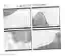 Fig. 12 - Antibodies, polypeptides and uses thereof