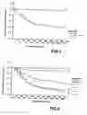 Fig. 02 - Prognostic indicator