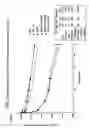 Fig. 03 - Antibody-serum protein hybrids