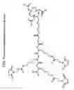 Fig. 08 - Antibody-serum protein hybrids