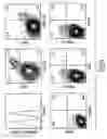 Fig. 08 - Pharmaceutical composition comprising PIM-activated NKT cells, and use thereof in therapy