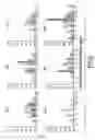 Fig. 09 - Pharmaceutical composition comprising PIM-activated NKT cells, and use thereof in therapy