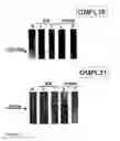 Fig. 03 - Surface protein of 